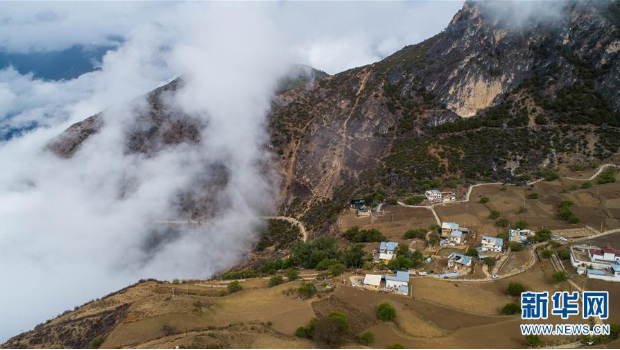近年来,迪庆州通过发展中药材,经济作物等高原特色产业,坚持产业进村